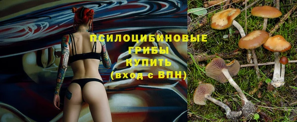 каннабис Алзамай