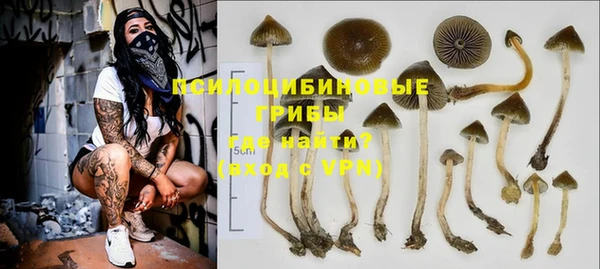 Альфа ПВП Алексин