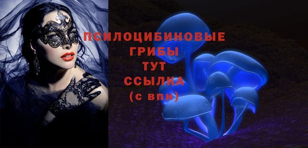 Альфа ПВП Алексин