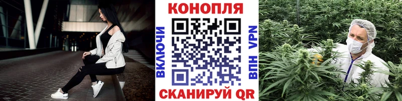 наркота  Саров  Марихуана конопля 